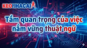 tam-quan-trong-cua-viec-nam-vung-thuat-ngu-ca-do-bong-da-cho-nguoi-moi
